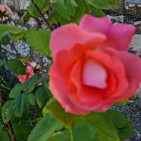Appartement Summer Sale! Lovely 3-bed In Spolète